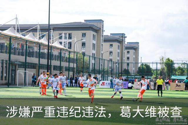 涉嫌严重违纪违法，葛大维被查