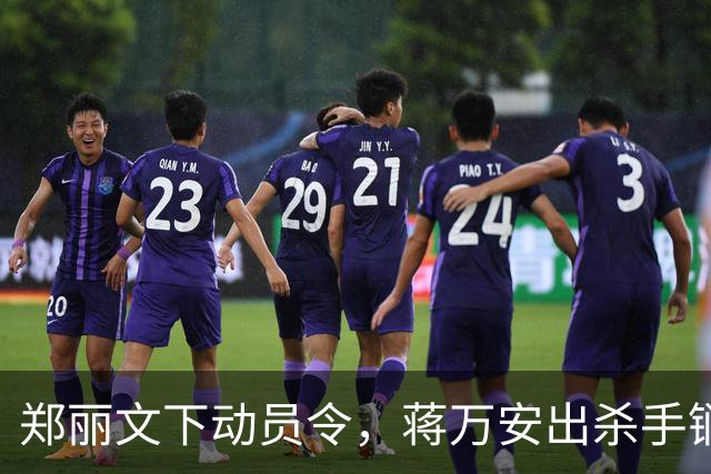 郑丽文下动员令，蒋万安出杀手锏，卢秀燕设防线，朱立伦挺赵少康
